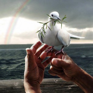 Hand study of Noah with the dove and the promise from God (rainbow), Photo manipulation, hand model Lyle Reed